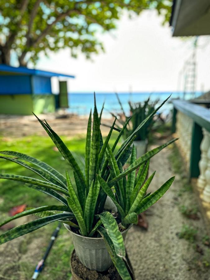 1Peace Beach Resort Anda  Ngoại thất bức ảnh